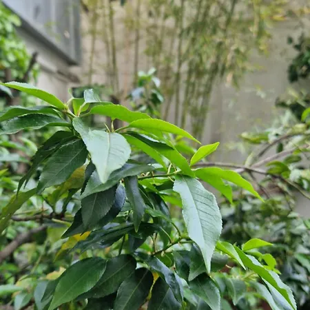 Hotel Hostel Koeln Cologne