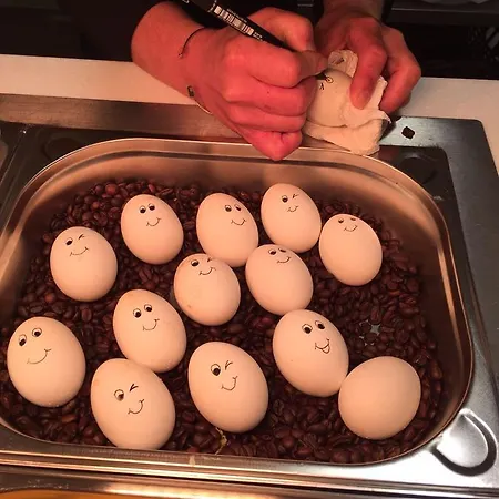 호스텔 쾰른 호텔