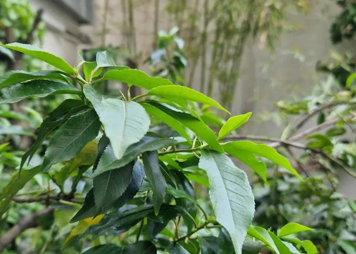 Hotel Hostel Koeln Keulen