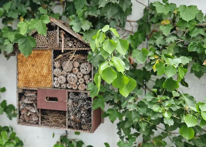 호스텔 쾰른 쾰른