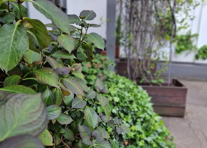 호텔 호스텔 쾰른