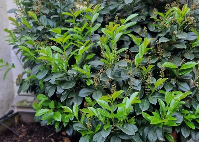 Hotel Hostel Koeln Keulen