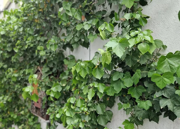 Hotel Hostel Koeln 2*